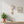 KLOQ-perzik-pastel-neon-style-6